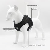Kuber Industries Reflective Dog Harness With Adjustable Leash|Breathable Polyester Mesh Fabric |XS Size|HT-844|Comfortable No-Pull Grip|Quick Release Buckles|Easy On-Easy Off Harness|Black (Pack Of 5)